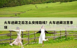 火車進藏之后怎么安排路線？火車進藏注意事項