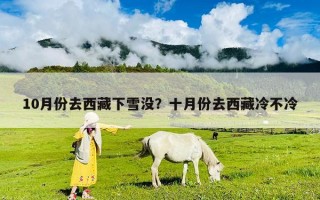 10月份去西藏下雪沒？十月份去西藏冷不冷