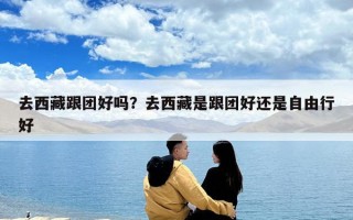 去西藏跟團(tuán)好嗎？去西藏是跟團(tuán)好還是自由行好