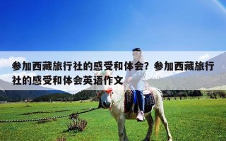 參加西藏旅行社的感受和體會？參加西藏旅行社的感受和體會英語作文