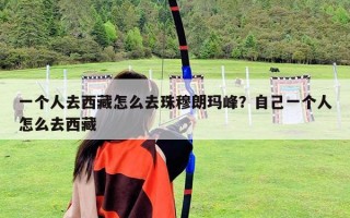 一個人去西藏怎么去珠穆朗瑪峰？自己一個人怎么去西藏