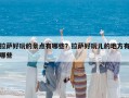 拉薩好玩的景點有哪些？拉薩好玩兒的地方有哪些