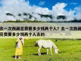 去一次西藏花費(fèi)要多少錢兩個(gè)人？去一次西藏花費(fèi)要多少錢兩個(gè)人去的