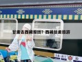 甘肅去西藏報團？西藏甘肅旅游