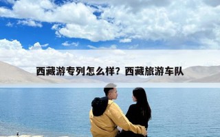 西藏游專列怎么樣?西藏旅游車隊 西藏游專列怎么樣?西藏旅游車隊