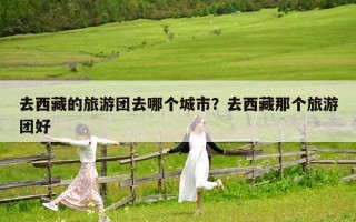 去西藏的旅游團(tuán)去哪個城市？去西藏那個旅游團(tuán)好