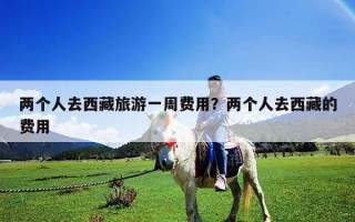 兩個人去西藏旅游一周費用？兩個人去西藏的費用