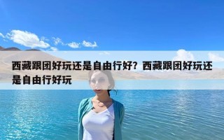 西藏跟團好玩還是自由行好？西藏跟團好玩還是自由行好玩
