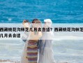 西藏桃花溝林芝幾月去合適？西藏桃花溝林芝幾月去合適