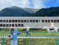 鄭州去西藏哪家旅游公司好些？鄭州自駕游西藏旅游攻略及費(fèi)用