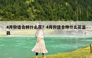 4月份適合種什么花？4月份適合種什么花盆栽