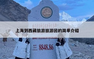 上海到西藏旅游旅游團的簡單介紹
