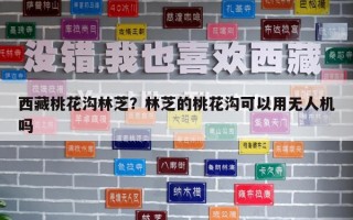 西藏桃花溝林芝？林芝的桃花溝可以用無人機嗎