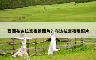 西藏布達(dá)拉宮夜景圖片？布達(dá)拉宮夜晚照片