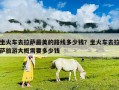 坐火車去拉薩最美的路線多少錢(qián)？坐火車去拉薩旅游大概需要多少錢(qián)