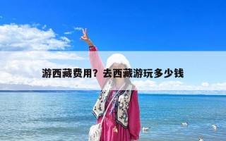 游西藏費用？去西藏游玩多少錢