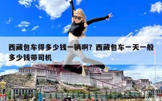 西藏包車得多少錢一輛啊？西藏包車一天一般多少錢帶司機