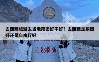 去西藏旅游去當地跟團好不好？去西藏是跟團好還是自由行好