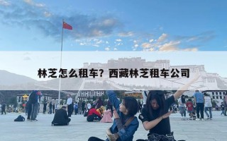 林芝怎么租車？西藏林芝租車公司