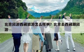 北京團游西藏旅游怎么樣?。勘本┤ノ鞑馗鷪F游