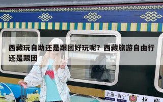 西藏玩自助還是跟團好玩呢？西藏旅游自由行還是跟團