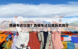 西藏布達拉宮？西藏布達拉宮歷史簡介