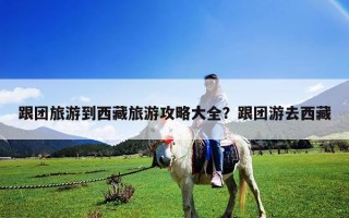 跟團旅游到西藏旅游攻略大全？跟團游去西藏