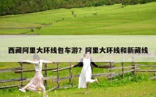 西藏阿里大環(huán)線包車游？阿里大環(huán)線和新藏線