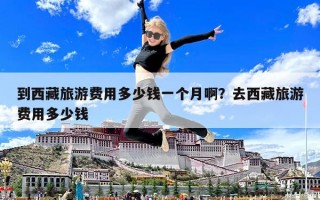 到西藏旅游費用多少錢一個月啊？去西藏旅游費用多少錢