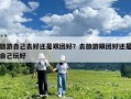 旅游自己去好還是跟團好？去旅游跟團好還是自己玩好