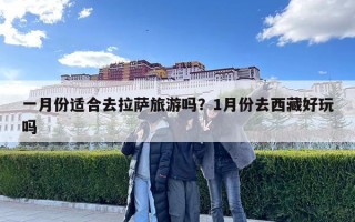 一月份適合去拉薩旅游嗎？1月份去西藏好玩嗎