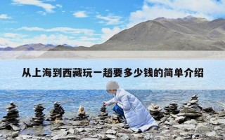 從上海到西藏玩一趟要多少錢的簡單介紹