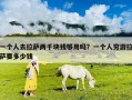 一個人去拉薩兩千塊錢夠用嗎？一個人窮游拉薩要多少錢