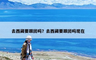 去西藏要跟團嗎？去西藏要跟團嗎現在