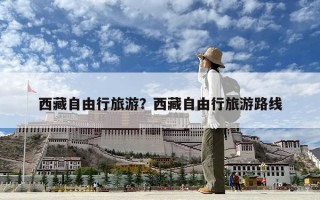西藏自由行旅游？西藏自由行旅游路線