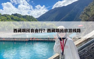 西藏跟團自由行？西藏跟團旅游線路