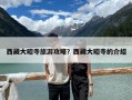 西藏大昭寺旅游攻略？西藏大昭寺的介紹