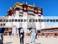 武漢去拉薩費用多少？武漢自駕到拉薩來回多少天
