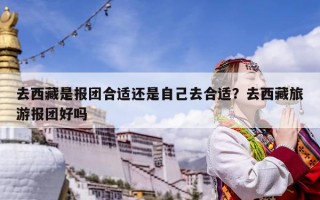 去西藏是報團合適還是自己去合適?去西藏旅游報團好嗎 去西藏是報團合適還是自己去合適?去西藏旅游報團好嗎