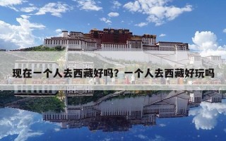 現在一個人去西藏好嗎？一個人去西藏好玩嗎
