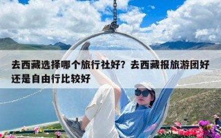 去西藏選擇哪個旅行社好？去西藏報旅游團好還是自由行比較好