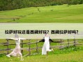 拉薩好玩還是西藏好玩？西藏拉薩好嗎?