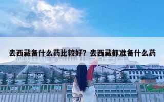 去西藏備什么藥比較好？去西藏都準備什么藥