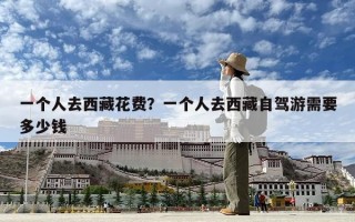 一個人去西藏花費？一個人去西藏自駕游需要多少錢