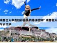 成都坐火車去拉薩最美的路線視頻？成都做火車去拉薩