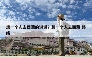 想一個人去西藏的說說？想一個人去西藏 路線