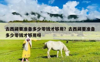 去西藏要準備多少零錢才夠用？去西藏要準備多少零錢才夠用呀