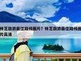 林芝旅游最佳路線圖片？林芝旅游最佳路線圖片高清