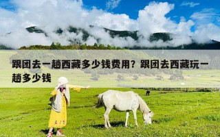 跟團(tuán)去一趟西藏多少錢(qián)費(fèi)用？跟團(tuán)去西藏玩一趟多少錢(qián)