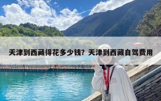天津到西藏得花多少錢？天津到西藏自駕費用